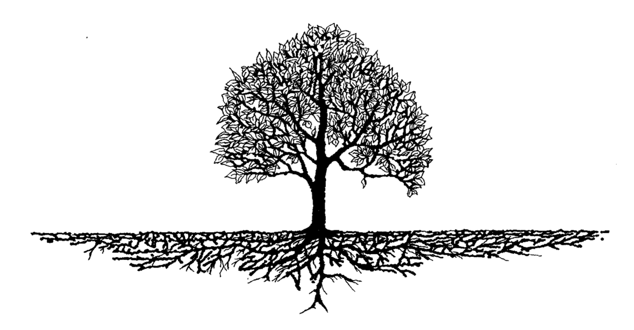 Tree black and white using social media ancestrydna gedmatch to advance family research cumbo site clipart logo