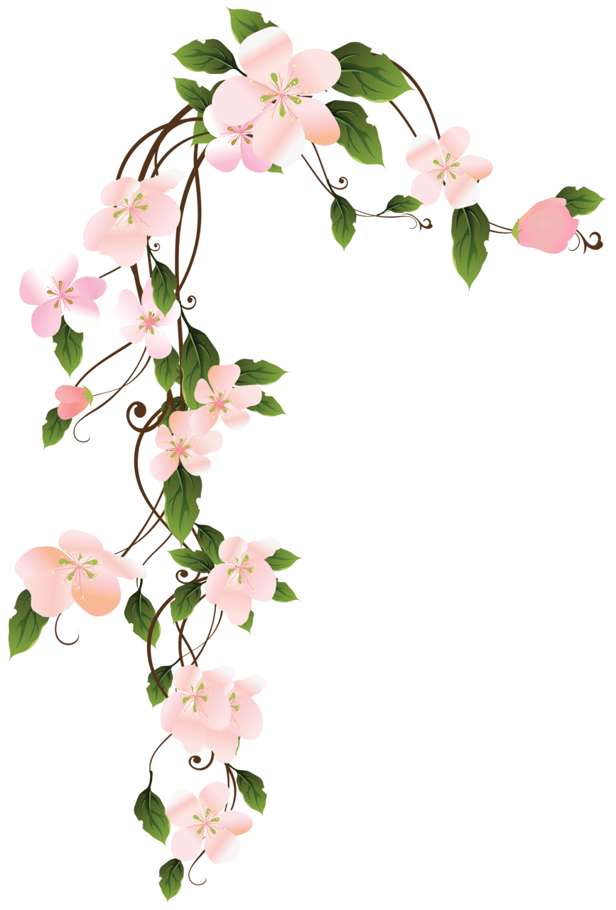 Vines trasparent clipart vector