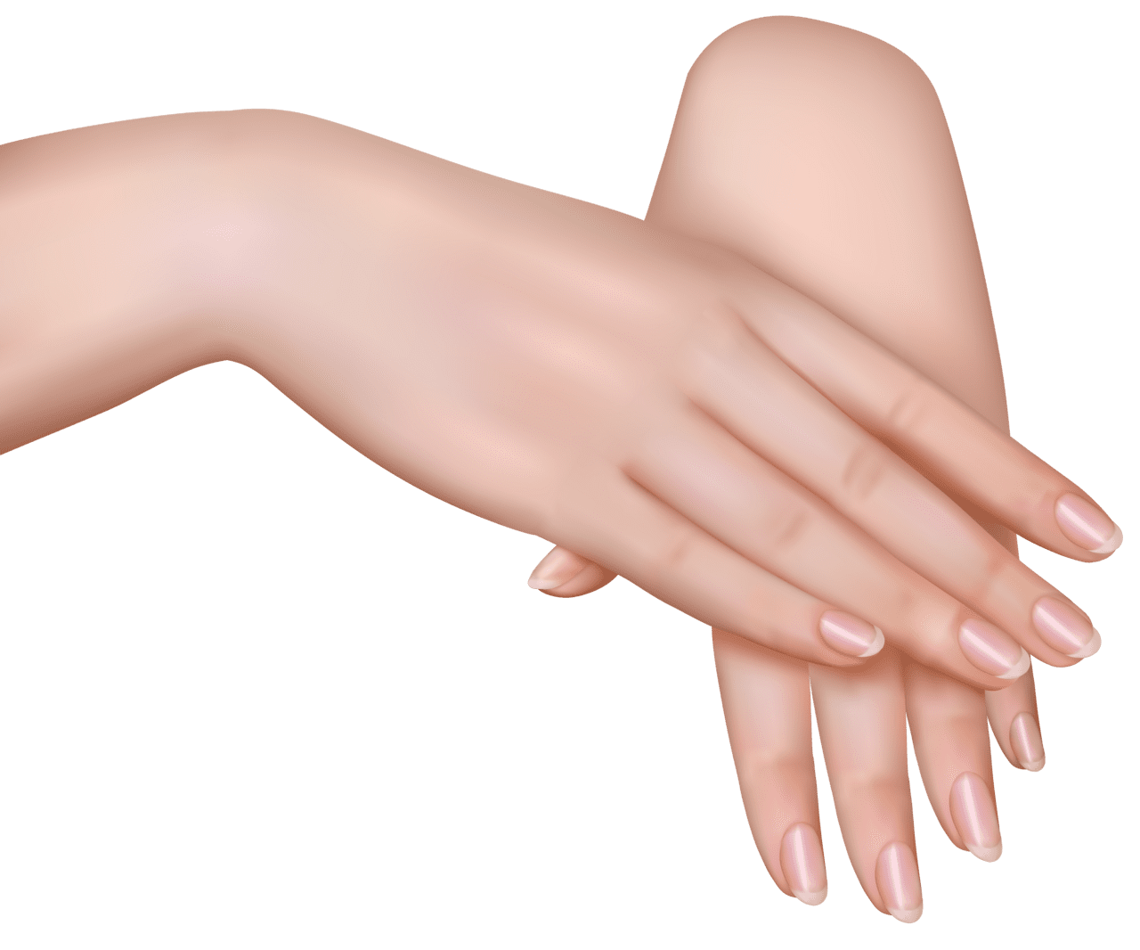 Nail female hands clipart image