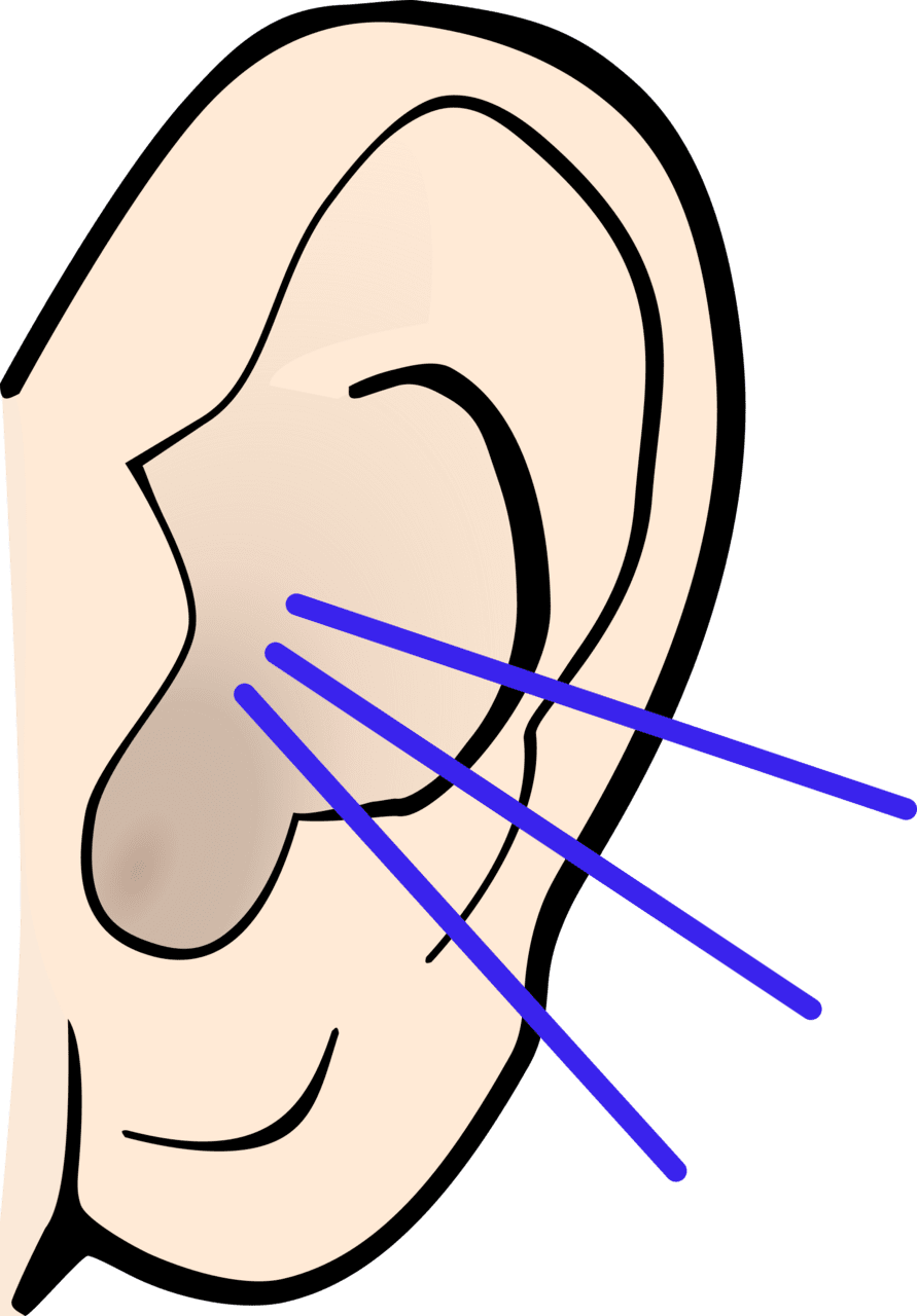 Listening colored clipart vector