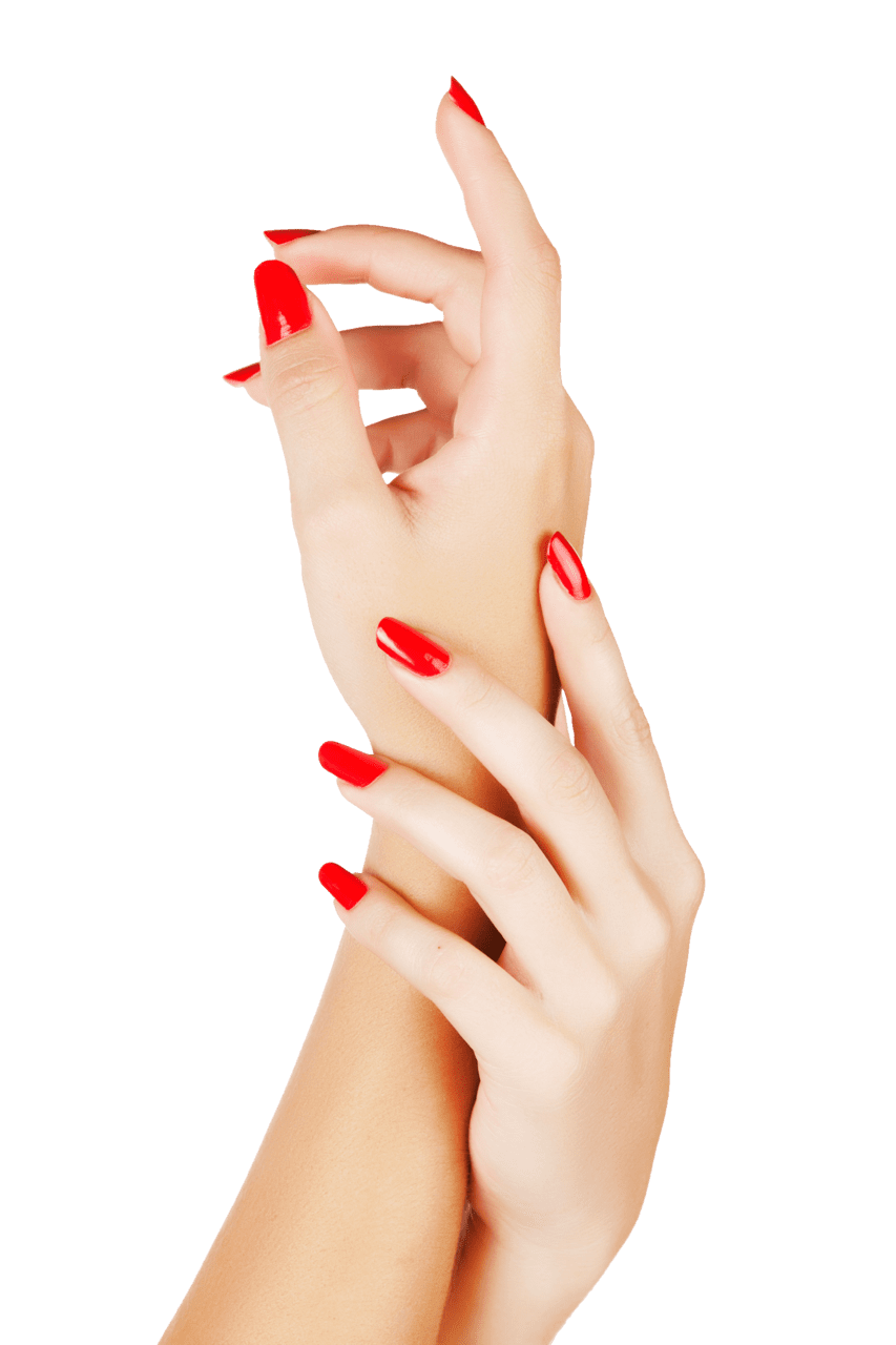 Nail color clipart photo
