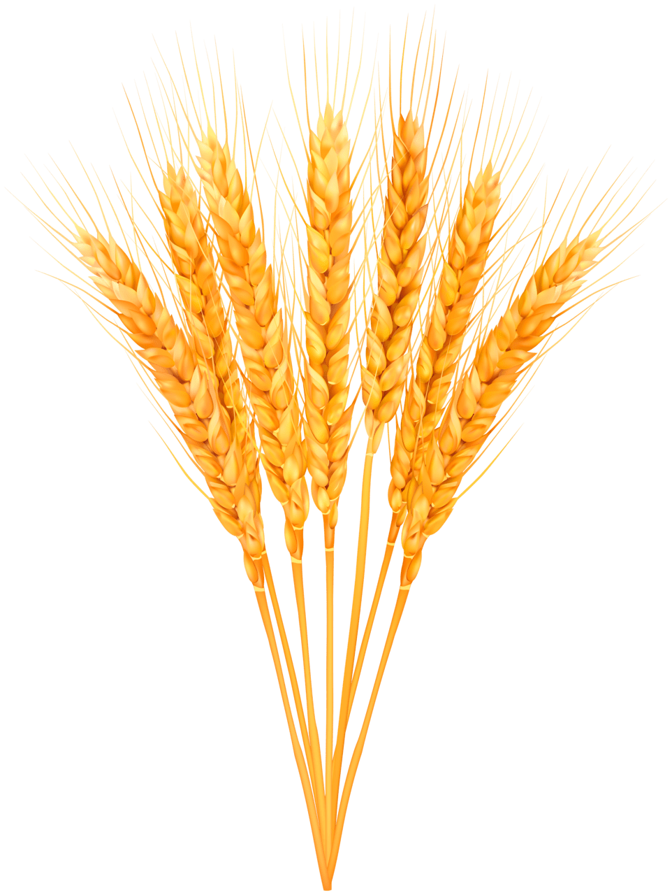 Wheat autumn the mothership clipart logo