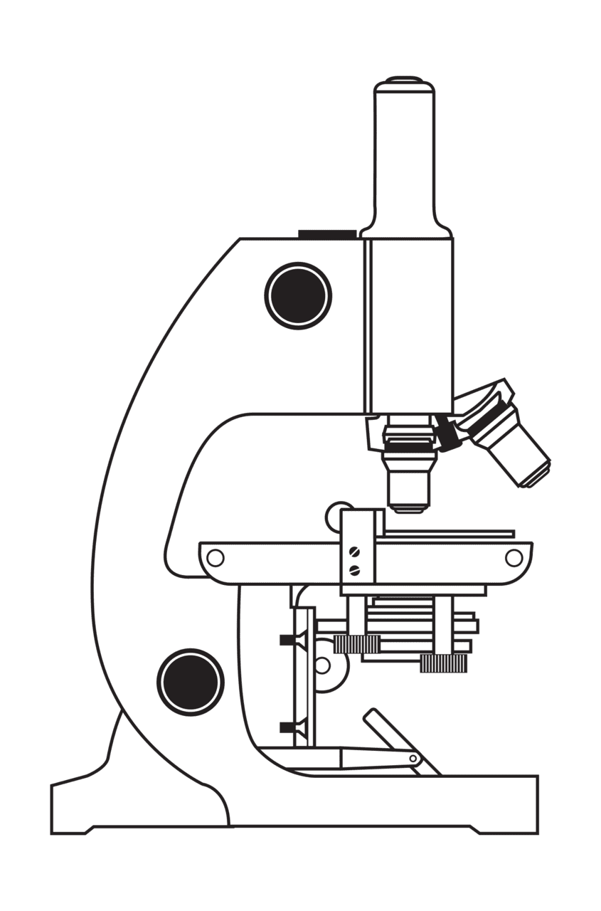 Microscope without coloring clipart vector