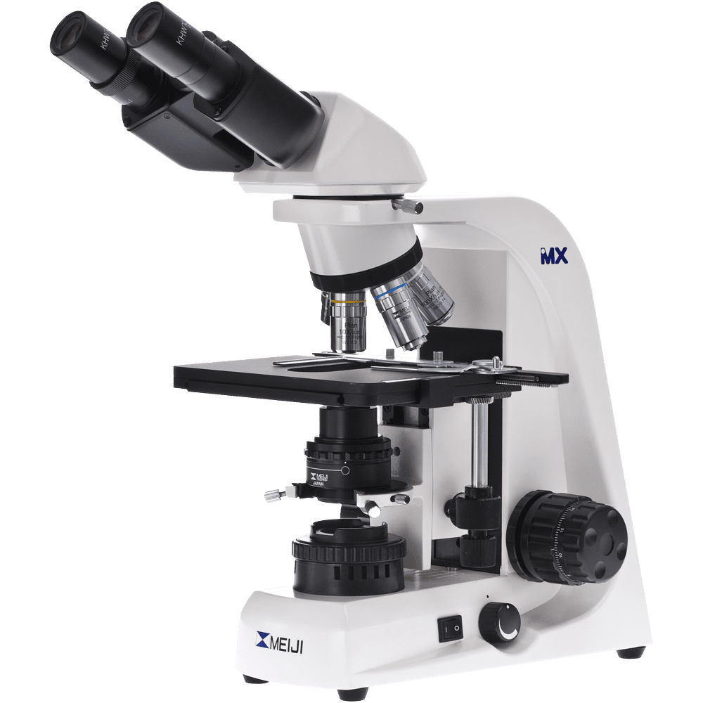 Microscope clipart image