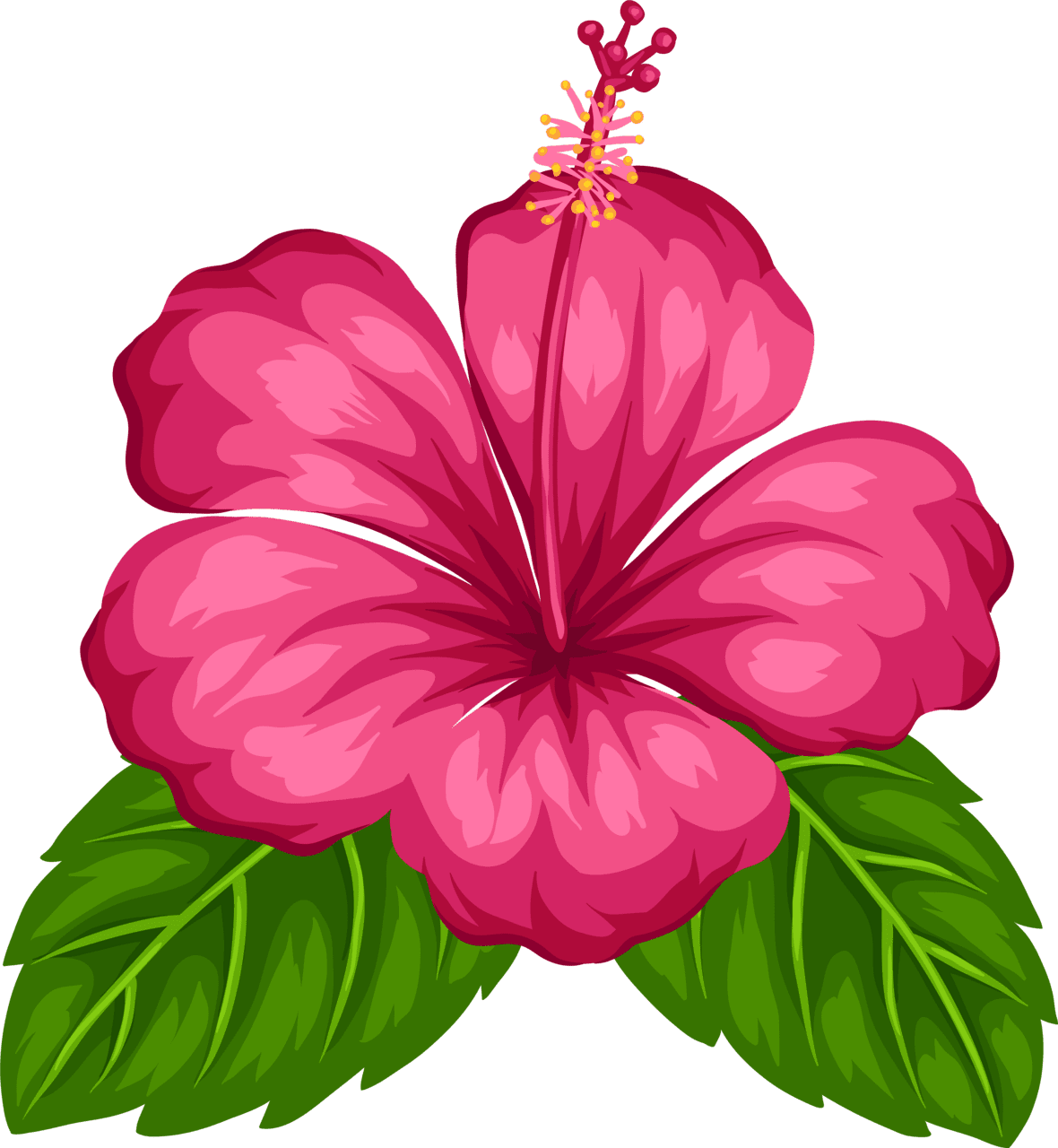 Hibiscus flower blue tropical flowers clipart full size pinclipart vector