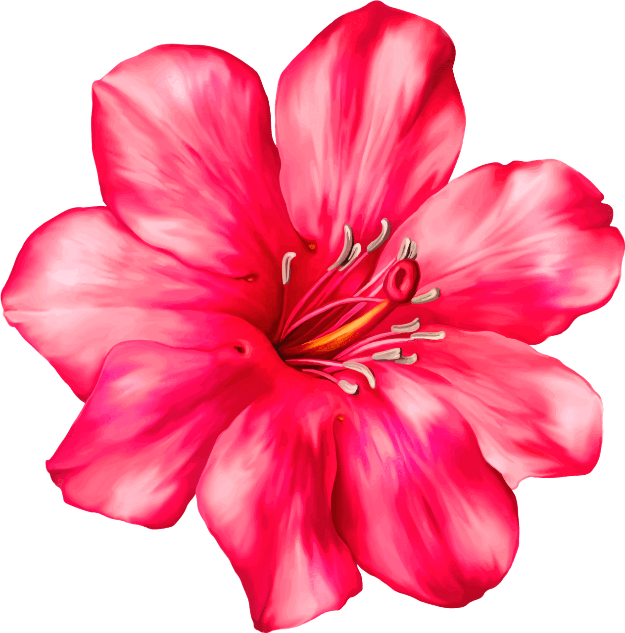 Hibiscus flower pin page clipart photo 2