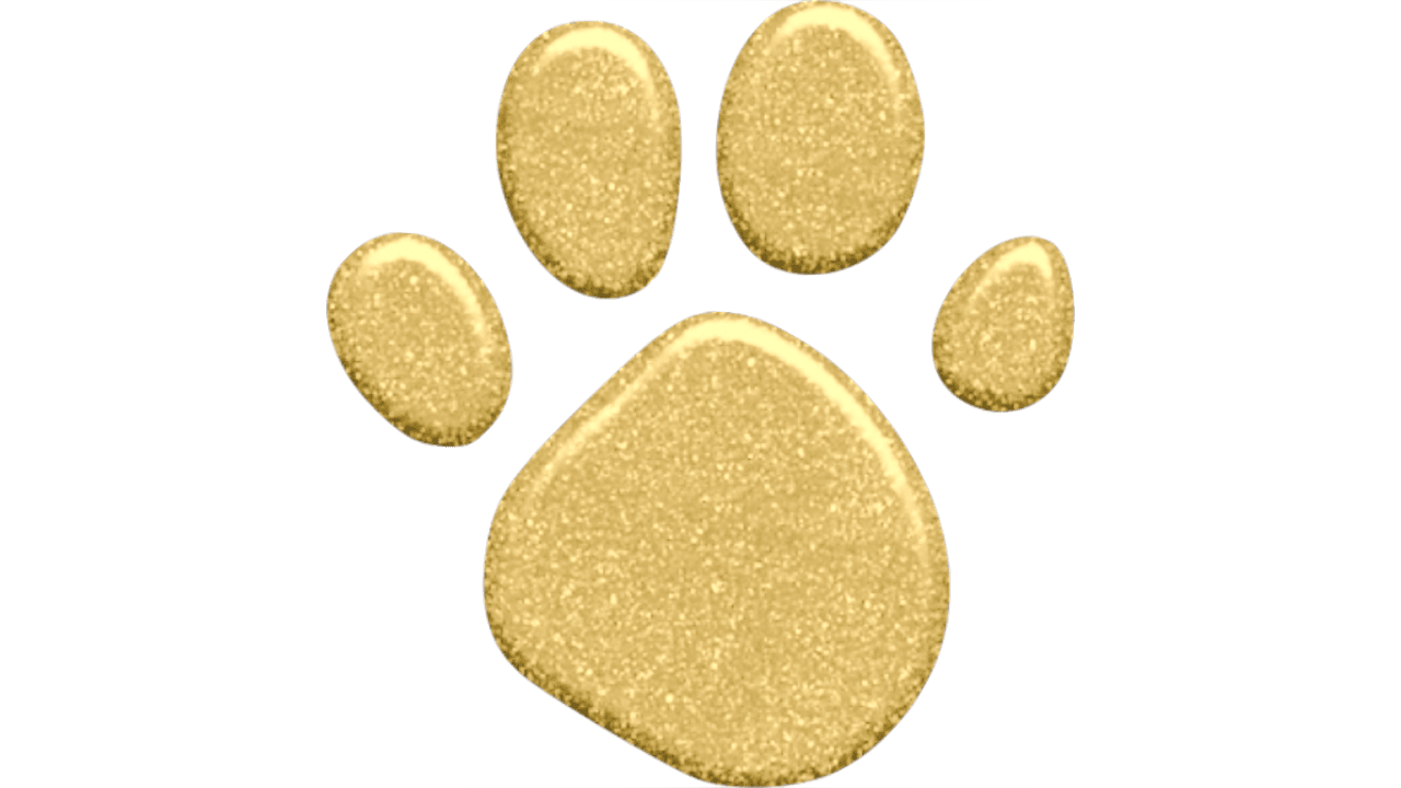 Paw pin page clipart vector