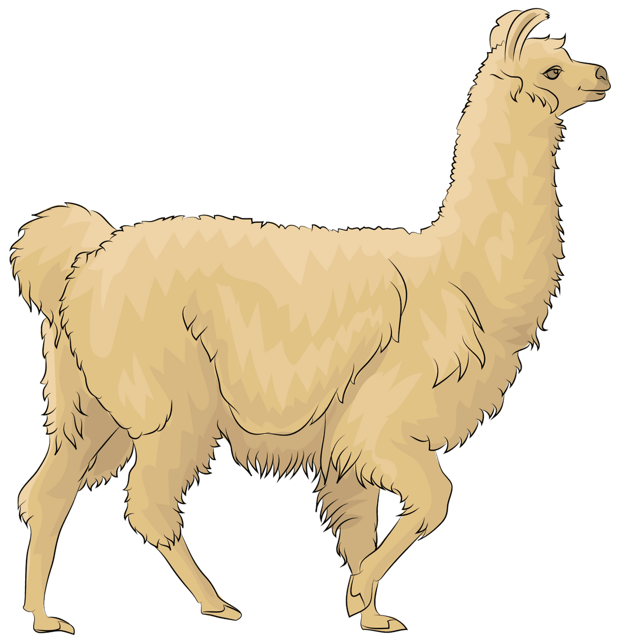 Llama clipart images