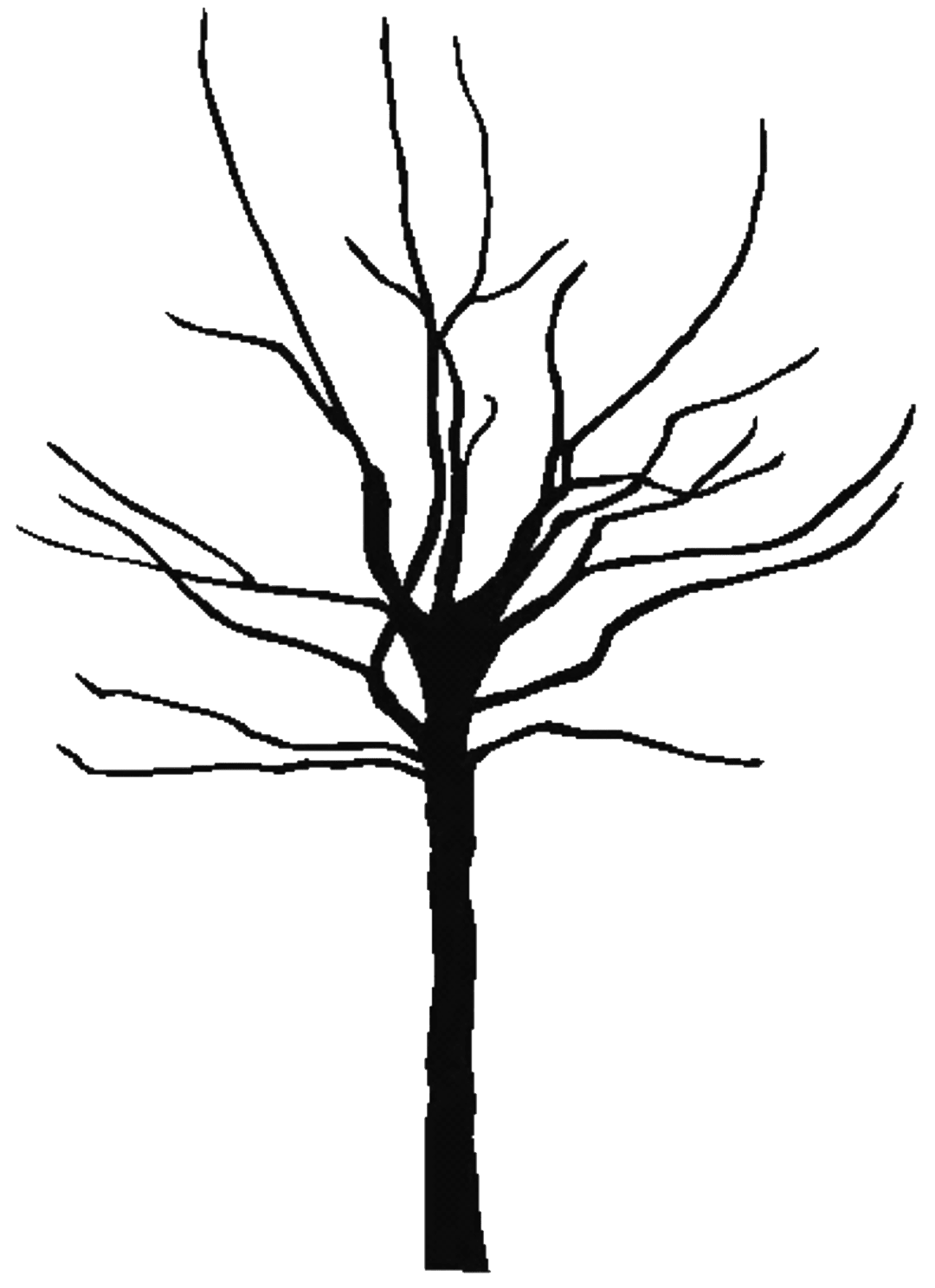 Tree black and white oak silhouette clip clipart free