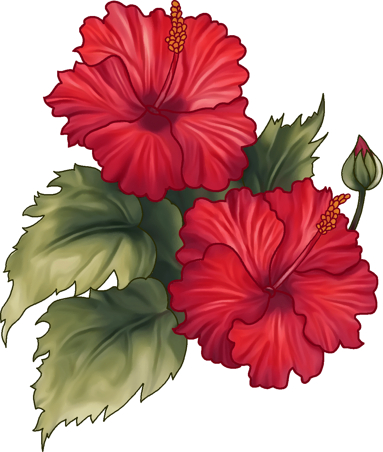 Hibiscus flower page clipart logo