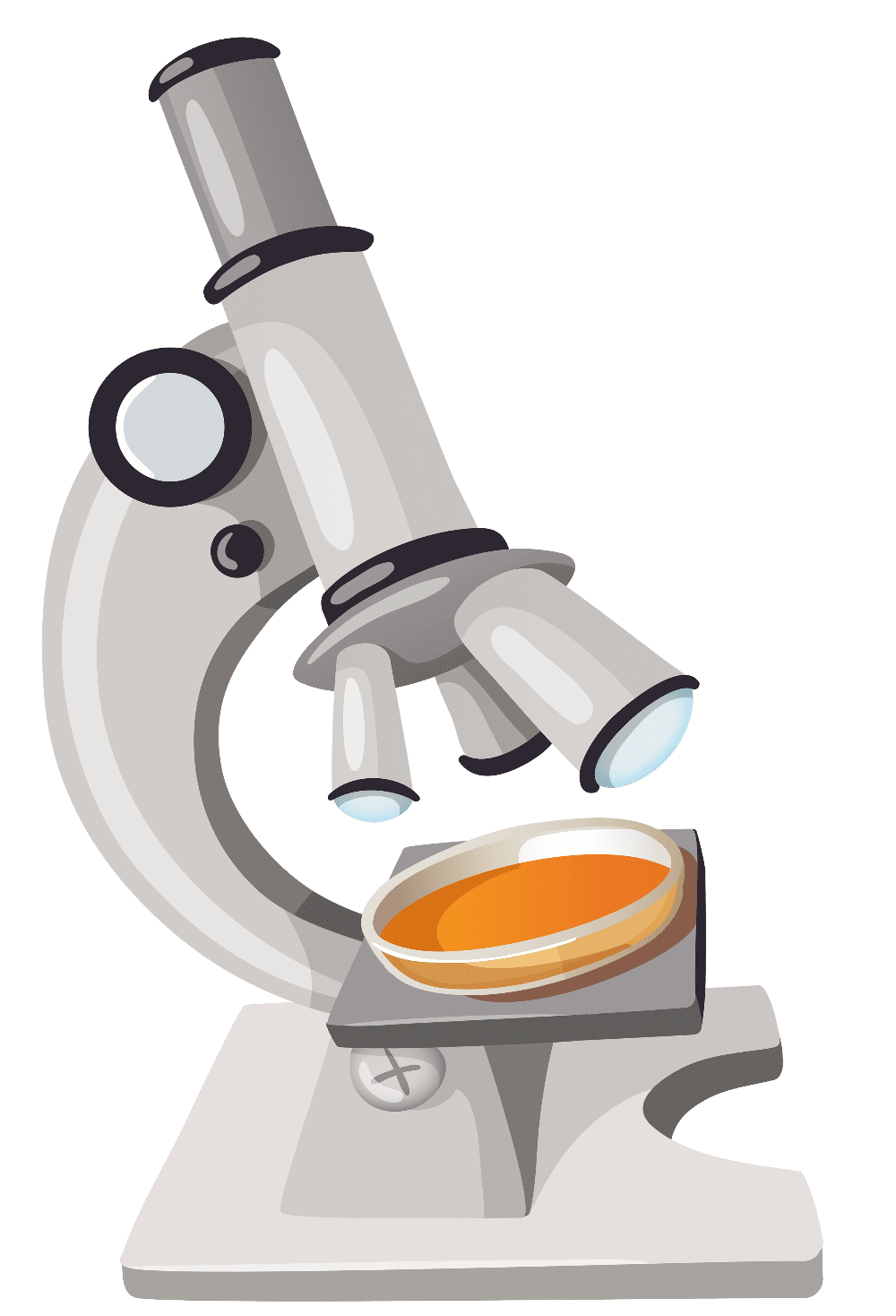 Microscope hosted imgbb clipart vector