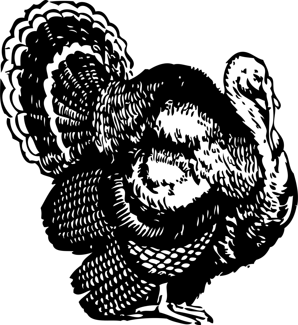 Turkey black and white bird image size clipart