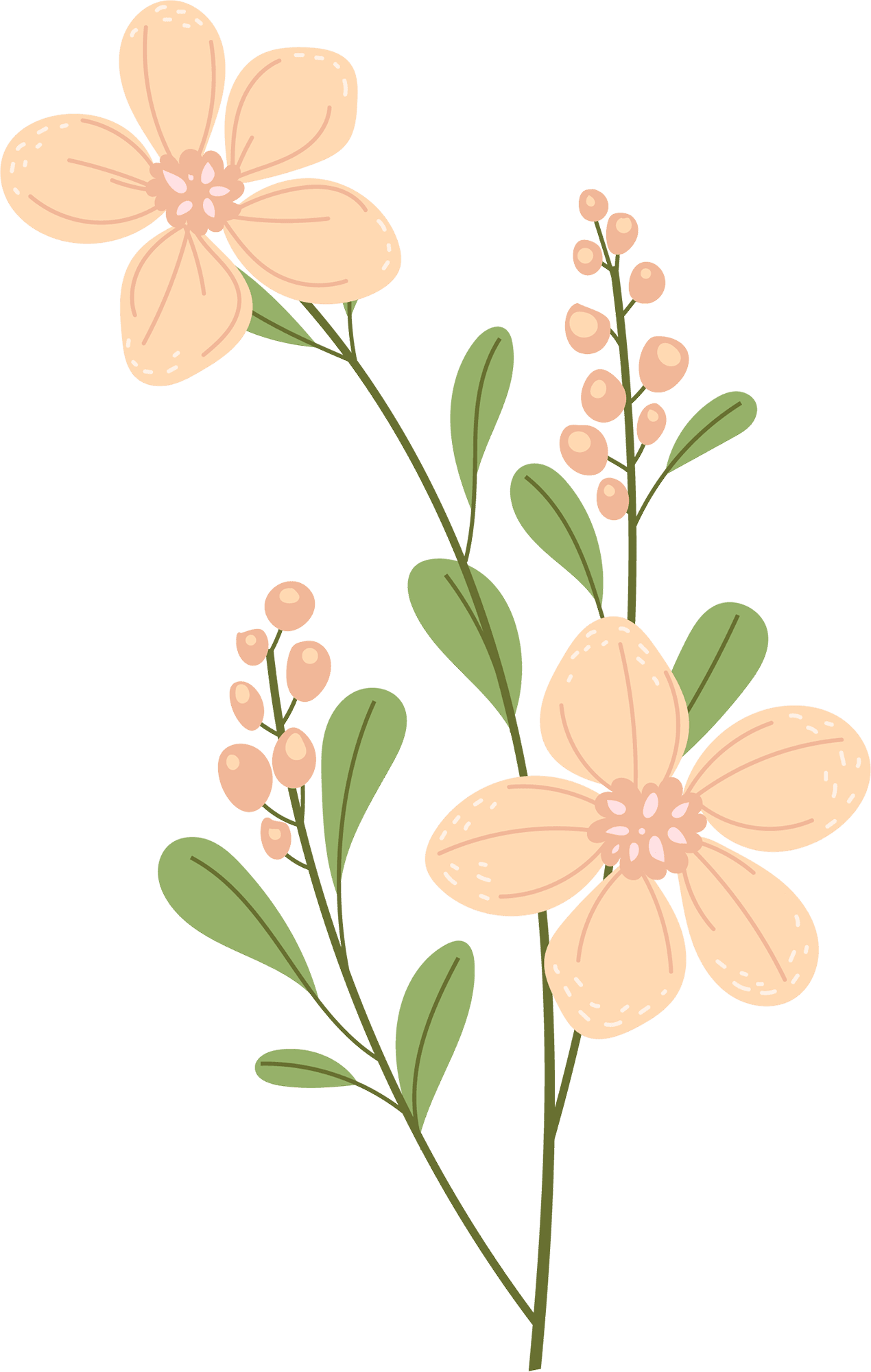 Wildflower simple splendor clipart transparent