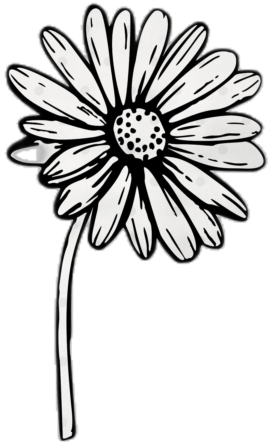 Wildflower flowers shop clipart background