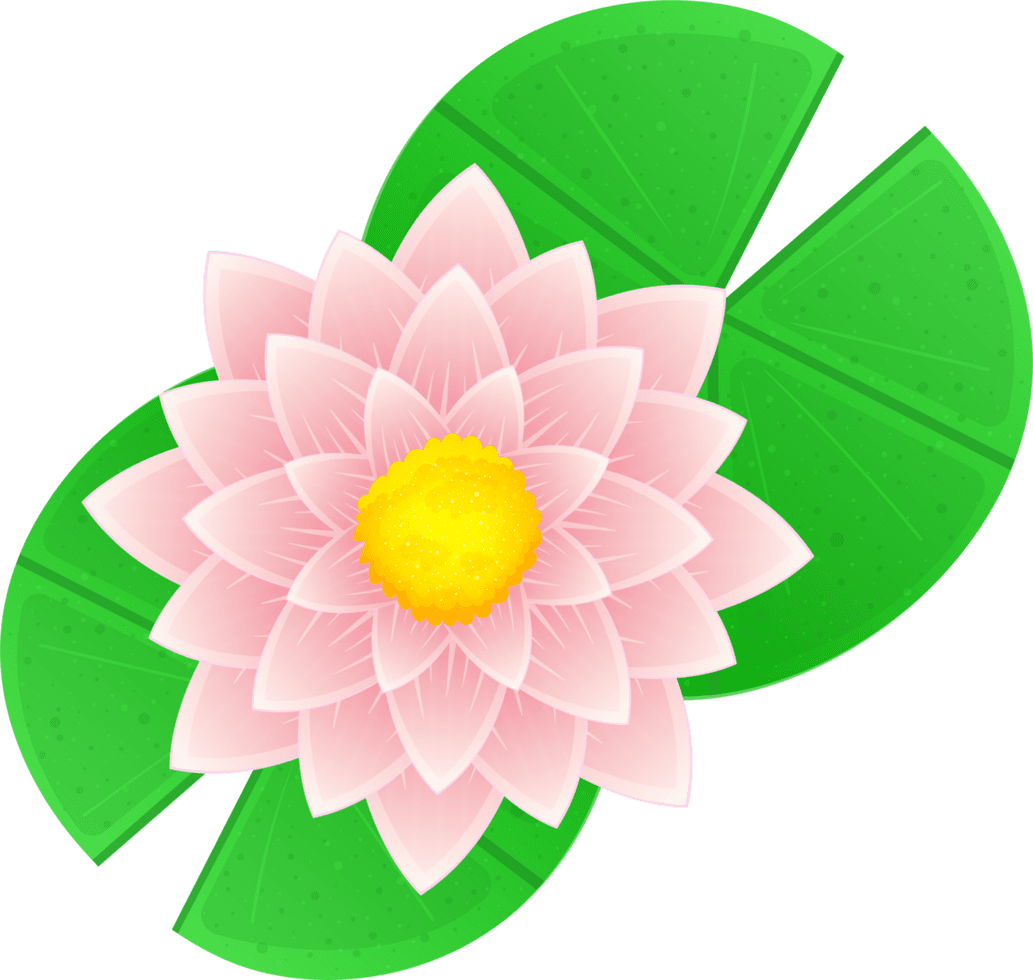 Lily pad clipart vector