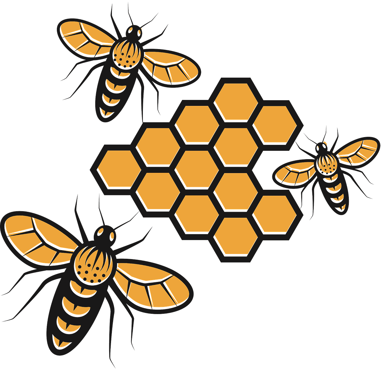 Honeycomb bees making honey vector clipart images