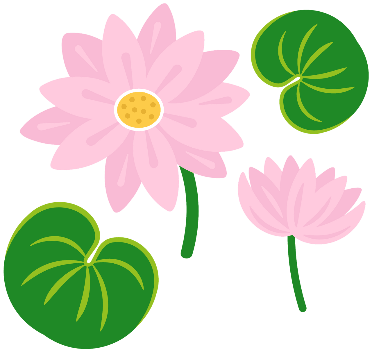 Lily pad vector clipart images 4