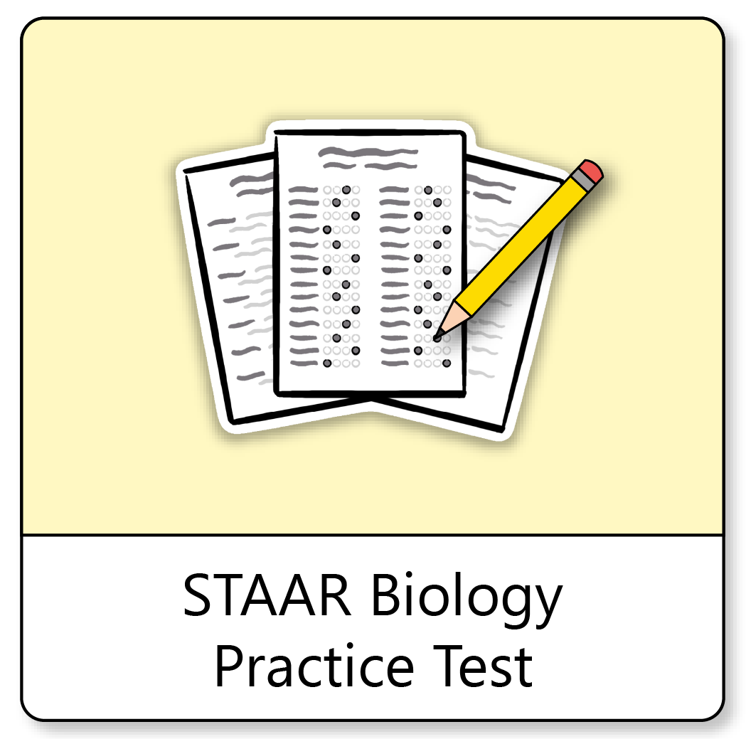 Staar practice test questions prep for the clipart logo