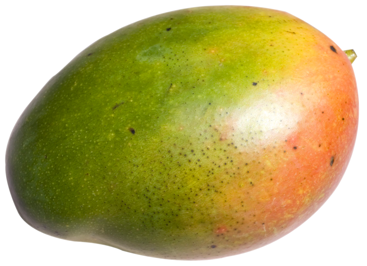 Mango clipart logo