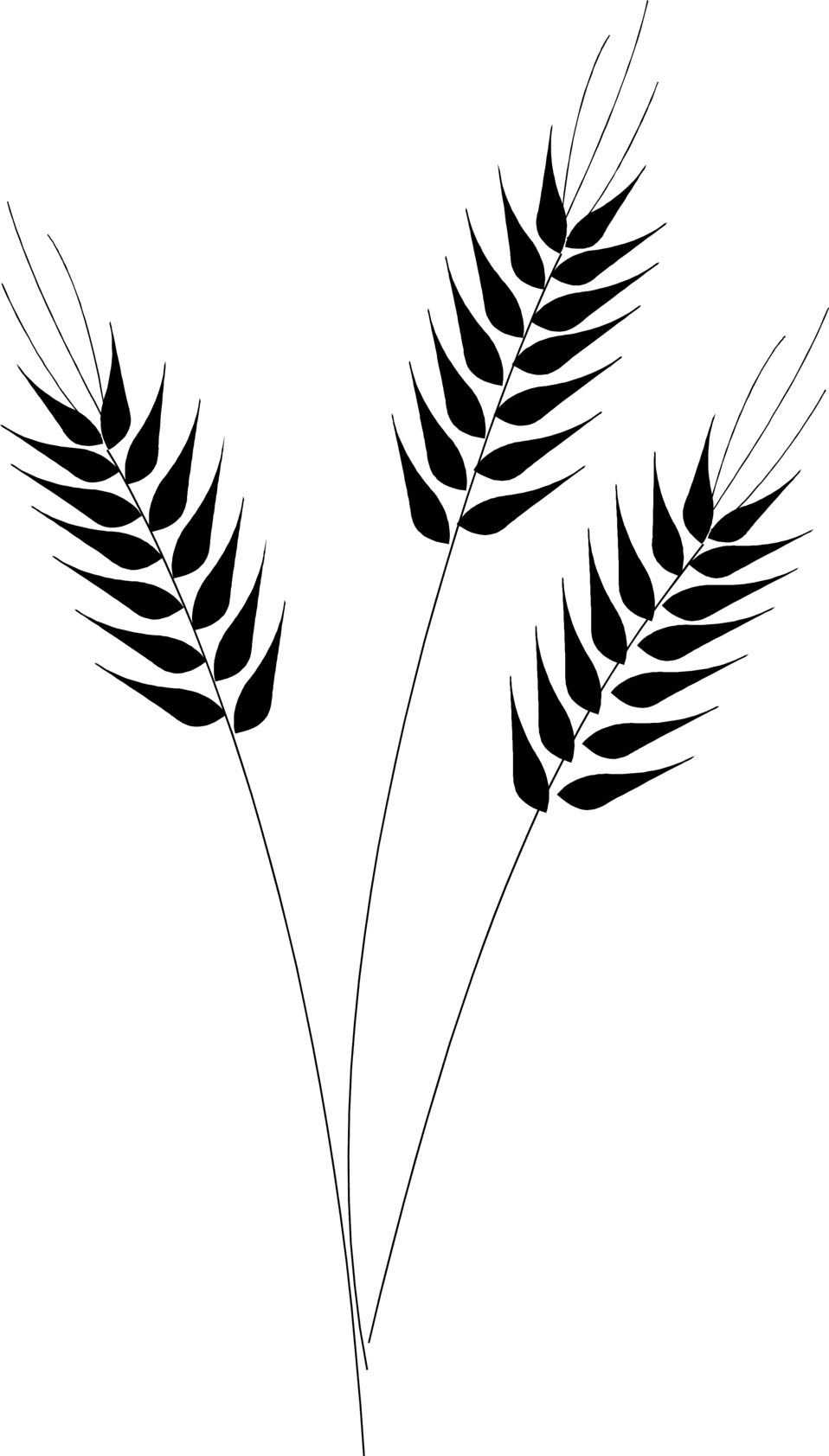 Wheat vector clipart image with no background