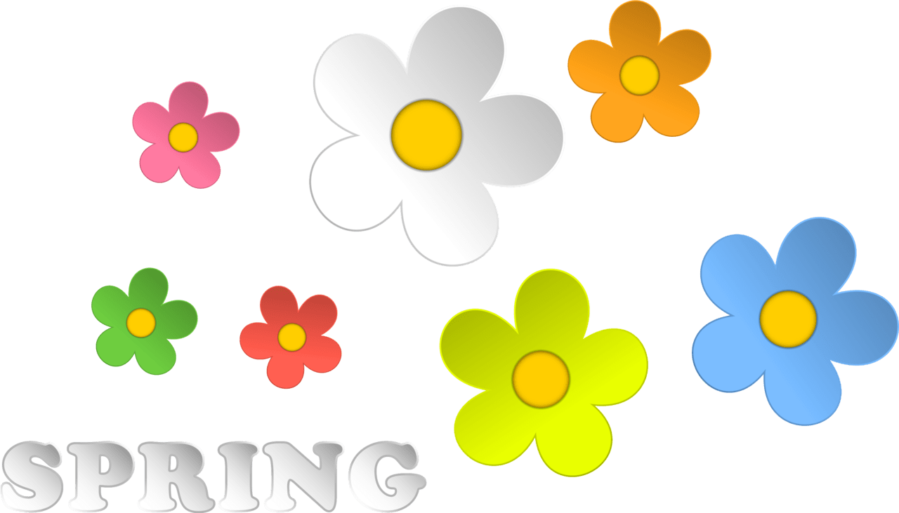 Spring break and flowers decor clipart flower image with no background