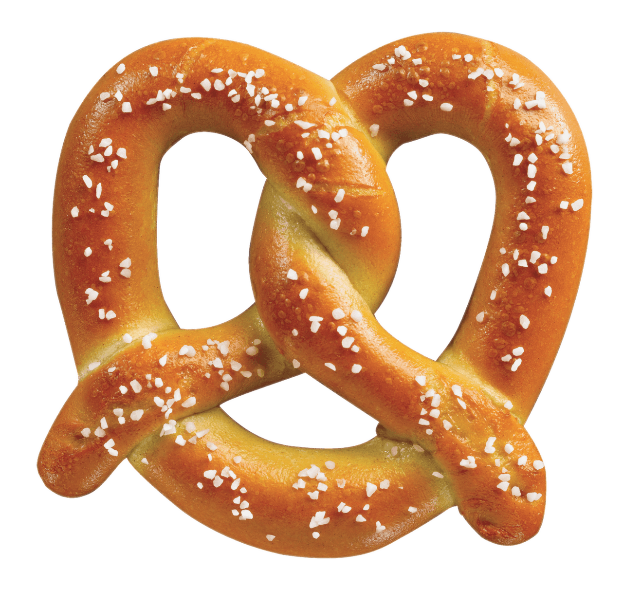 Pretzel with salt clipart vector