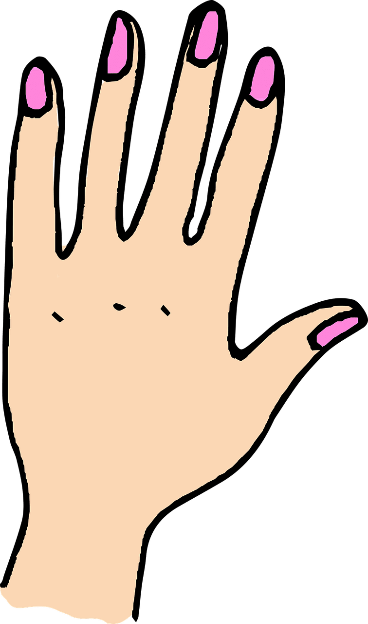 Nail finger women vector graphic clipart