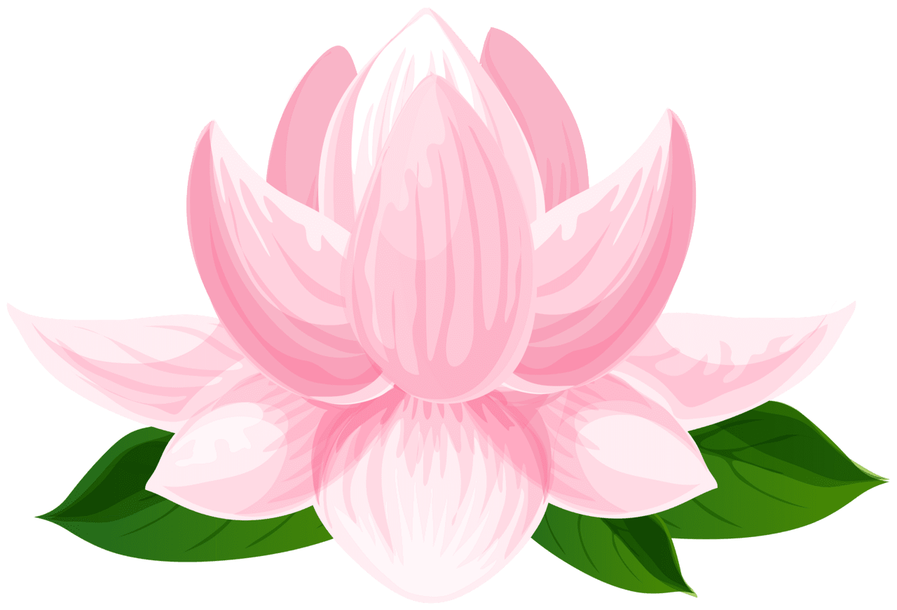 Lily pad lotus flower image clipart