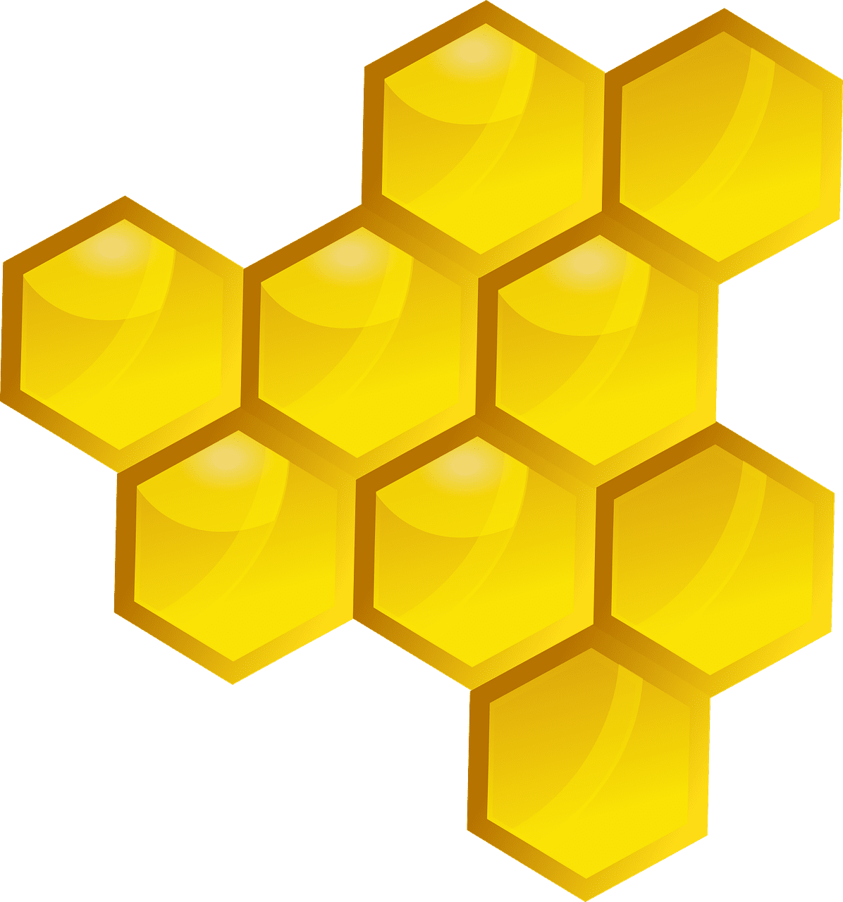 Honeycomb honey plaster bee vector graphic clipart