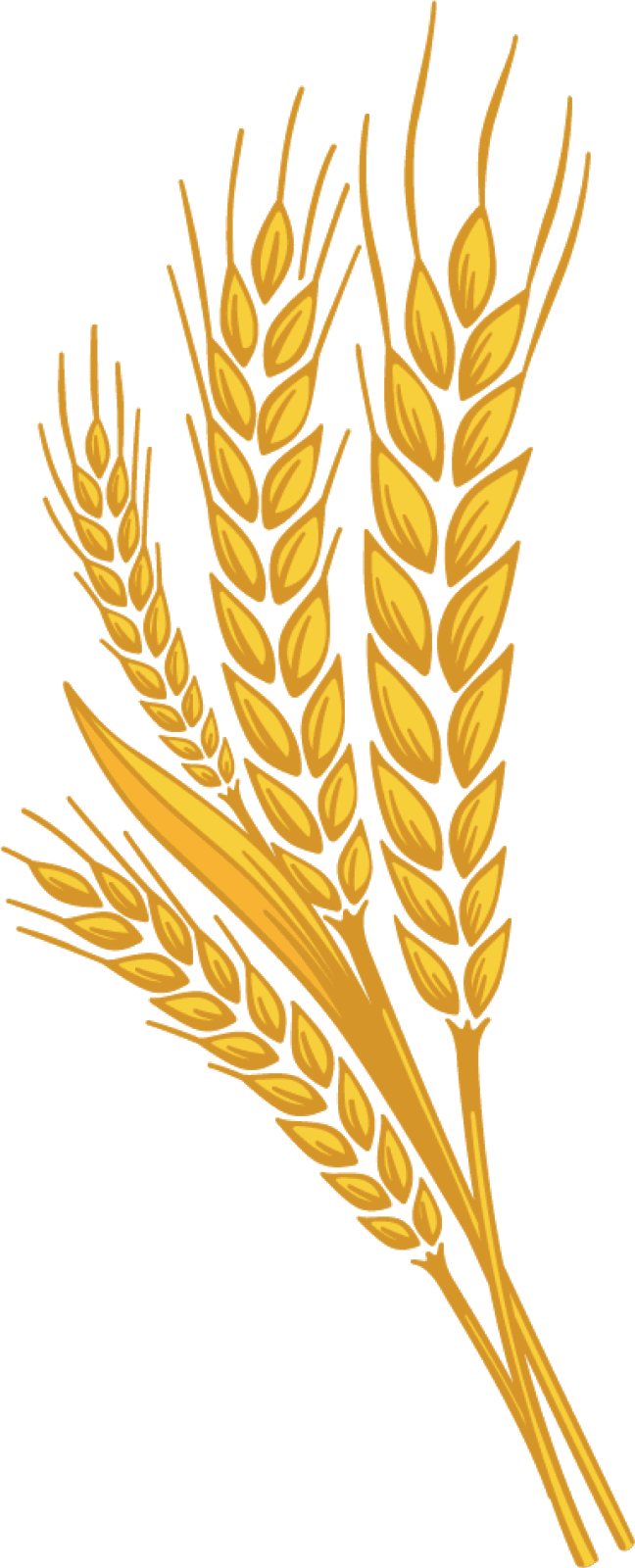 Wheat pin page clipart background