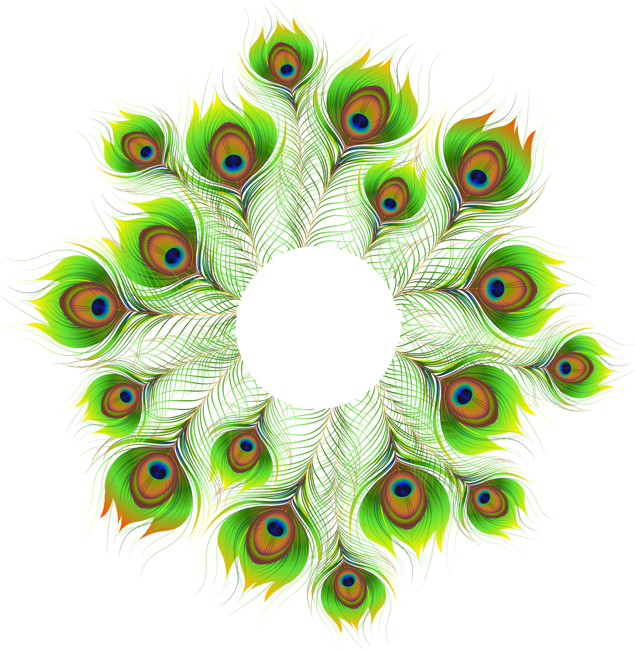 Peacock feather decoration clipart image