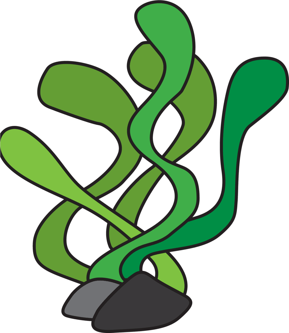 Fish seaweed cliparts clipart underwater plant image with no background