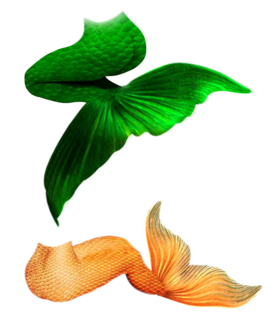 Mermaid tail ii by jinxmim deviantart clipart background