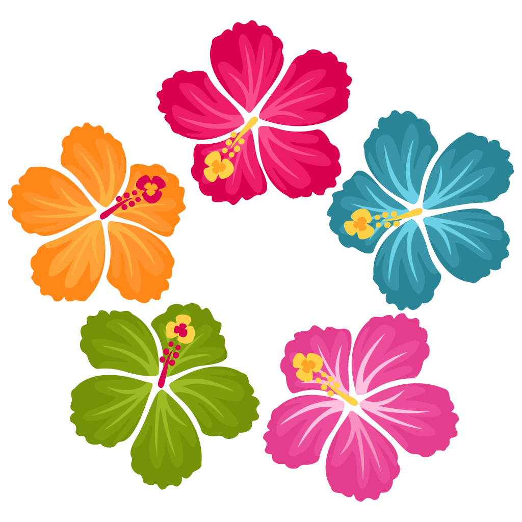 Hibiscus flower clipart bie background