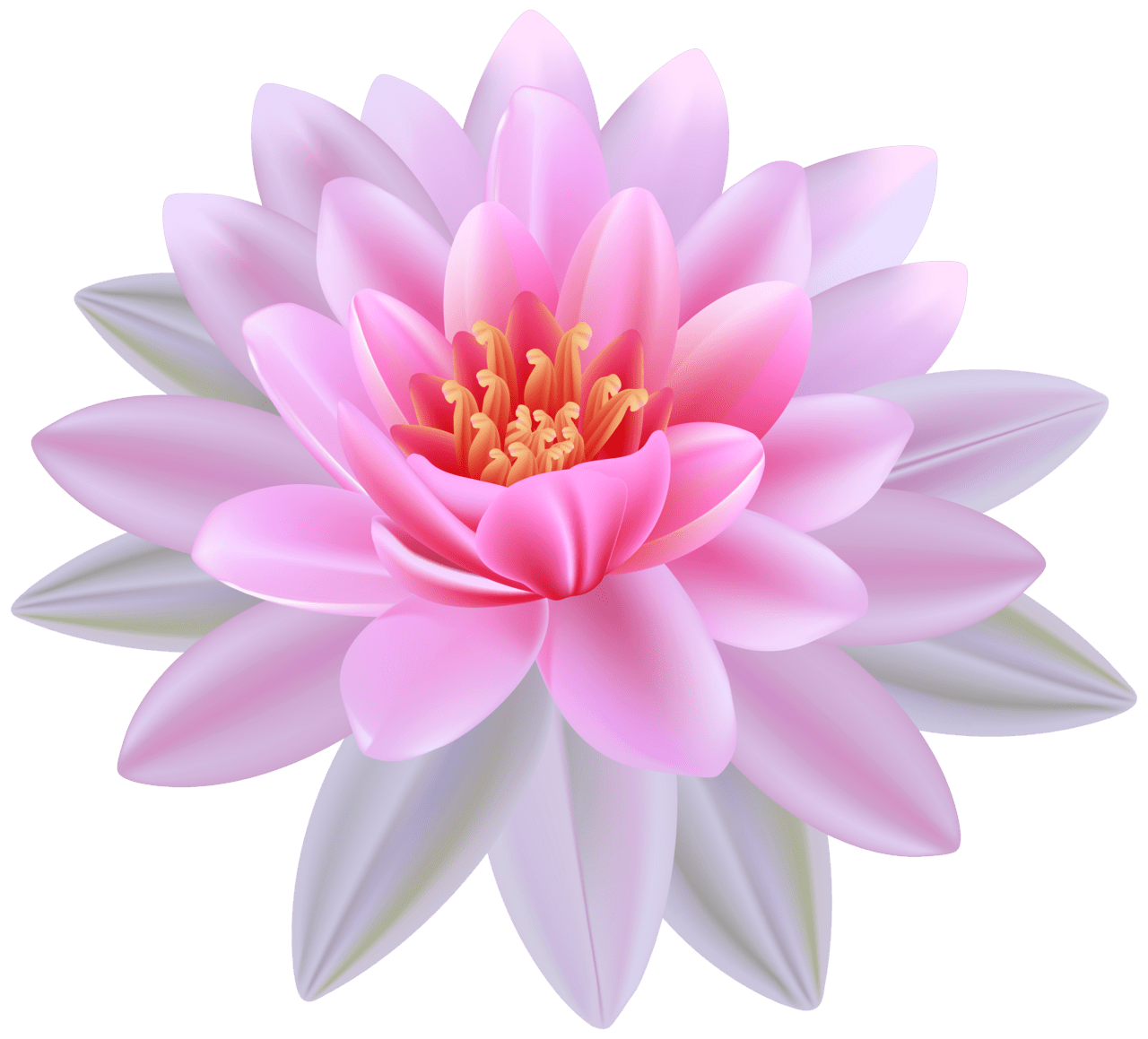 Lily pad flower clipart photo