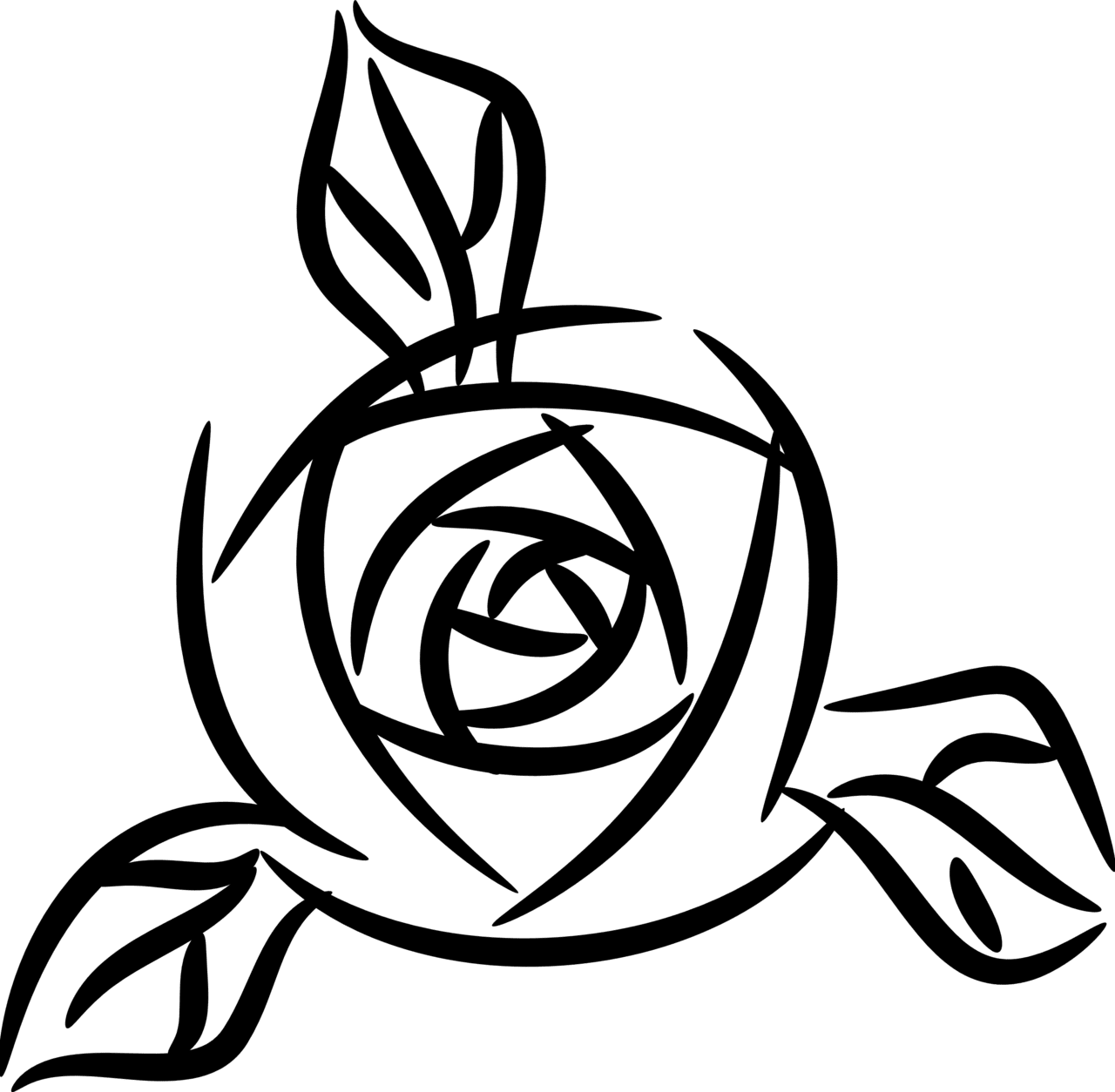 Rose black and white line art clipart panda images