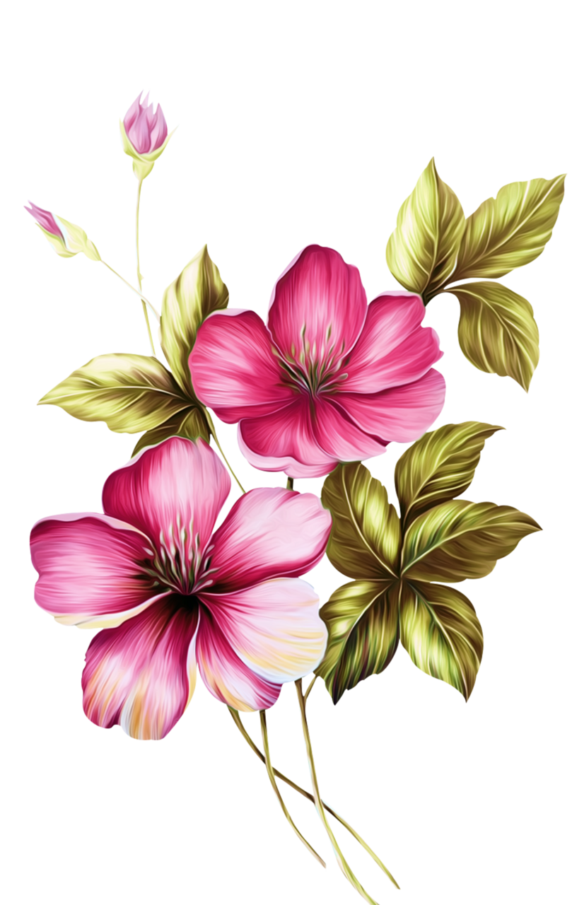 Hibiscus flower clipart background 2