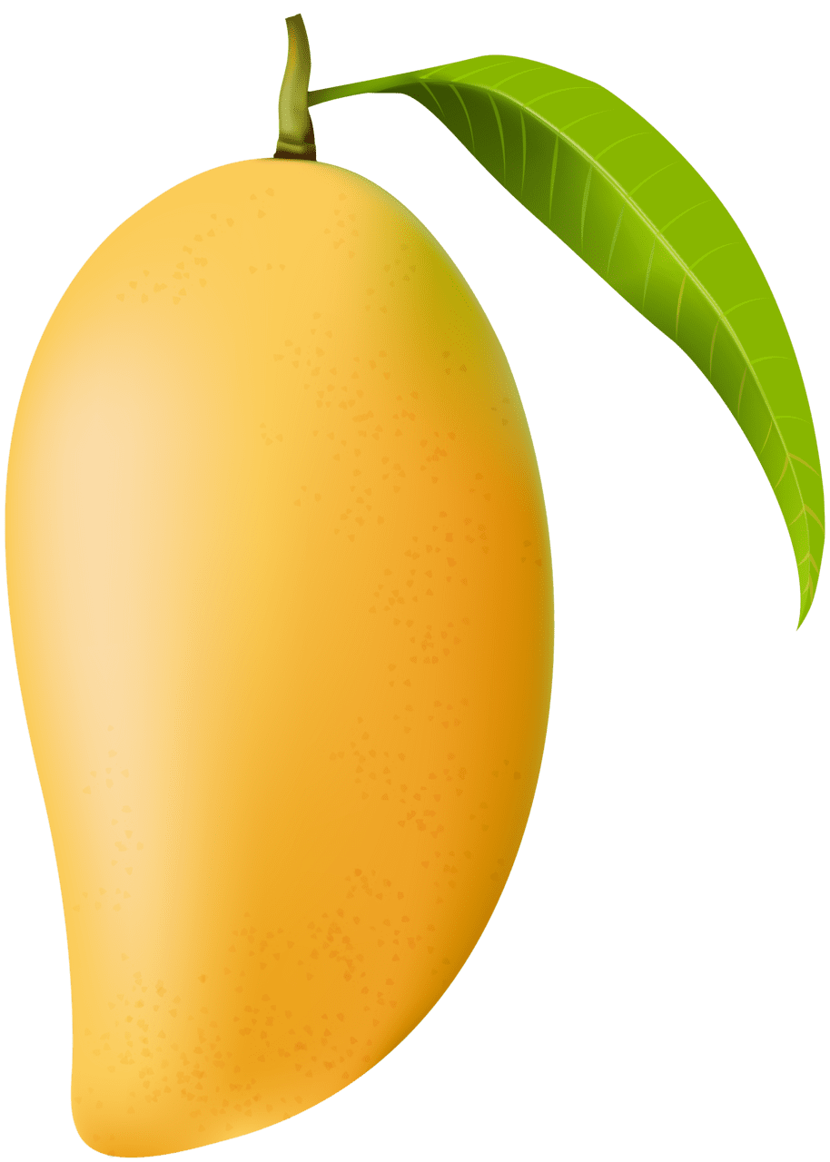 Mango clipart image high quality images and 2