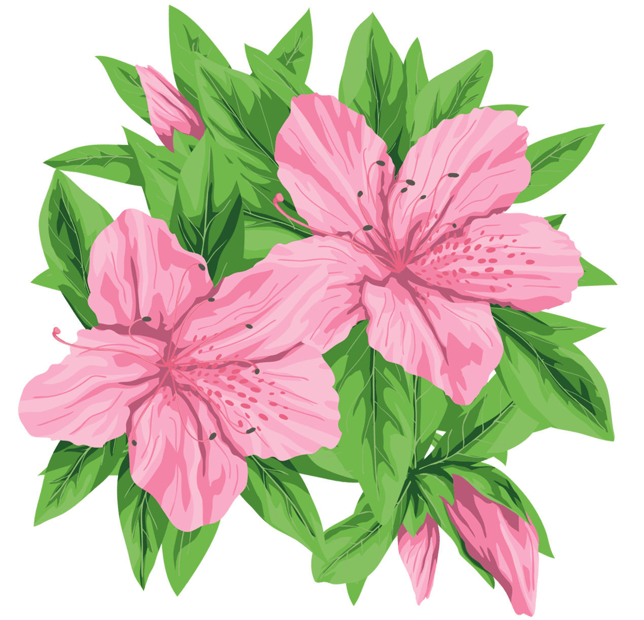 Pink flower clipart image 2