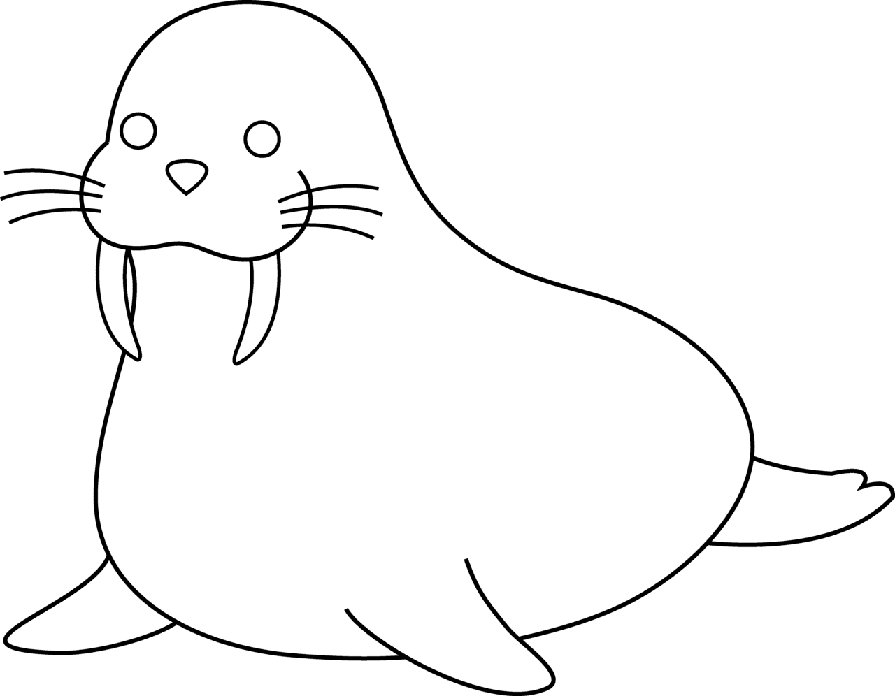 Seal animal drawing outlines clipart free