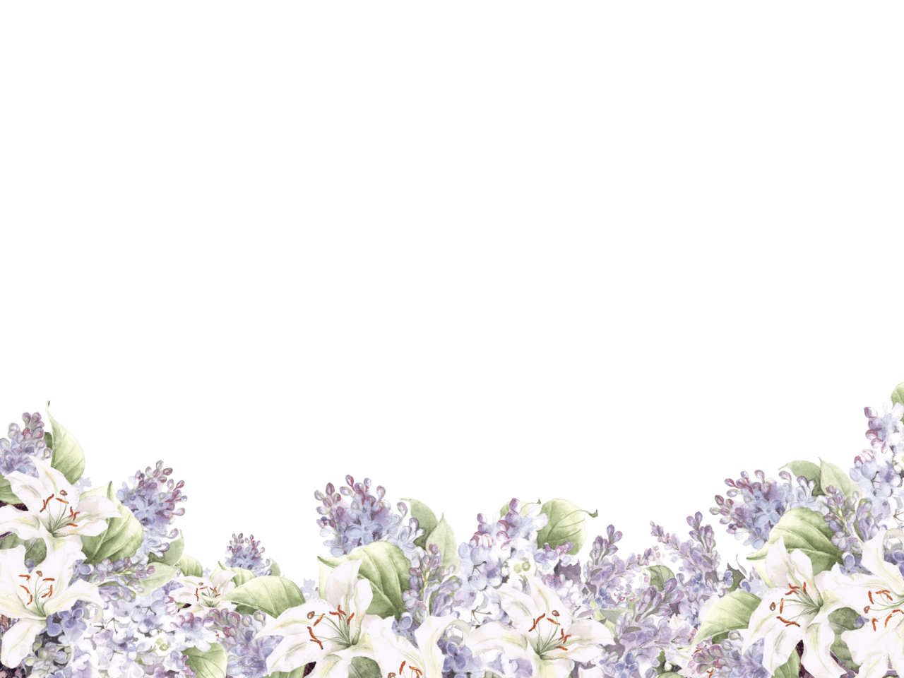 Wildflower page clipart transparent