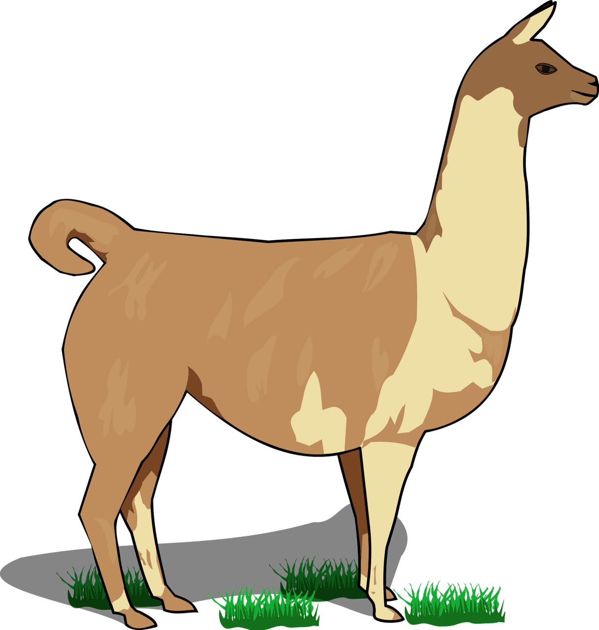 Llama vector clipart images 4