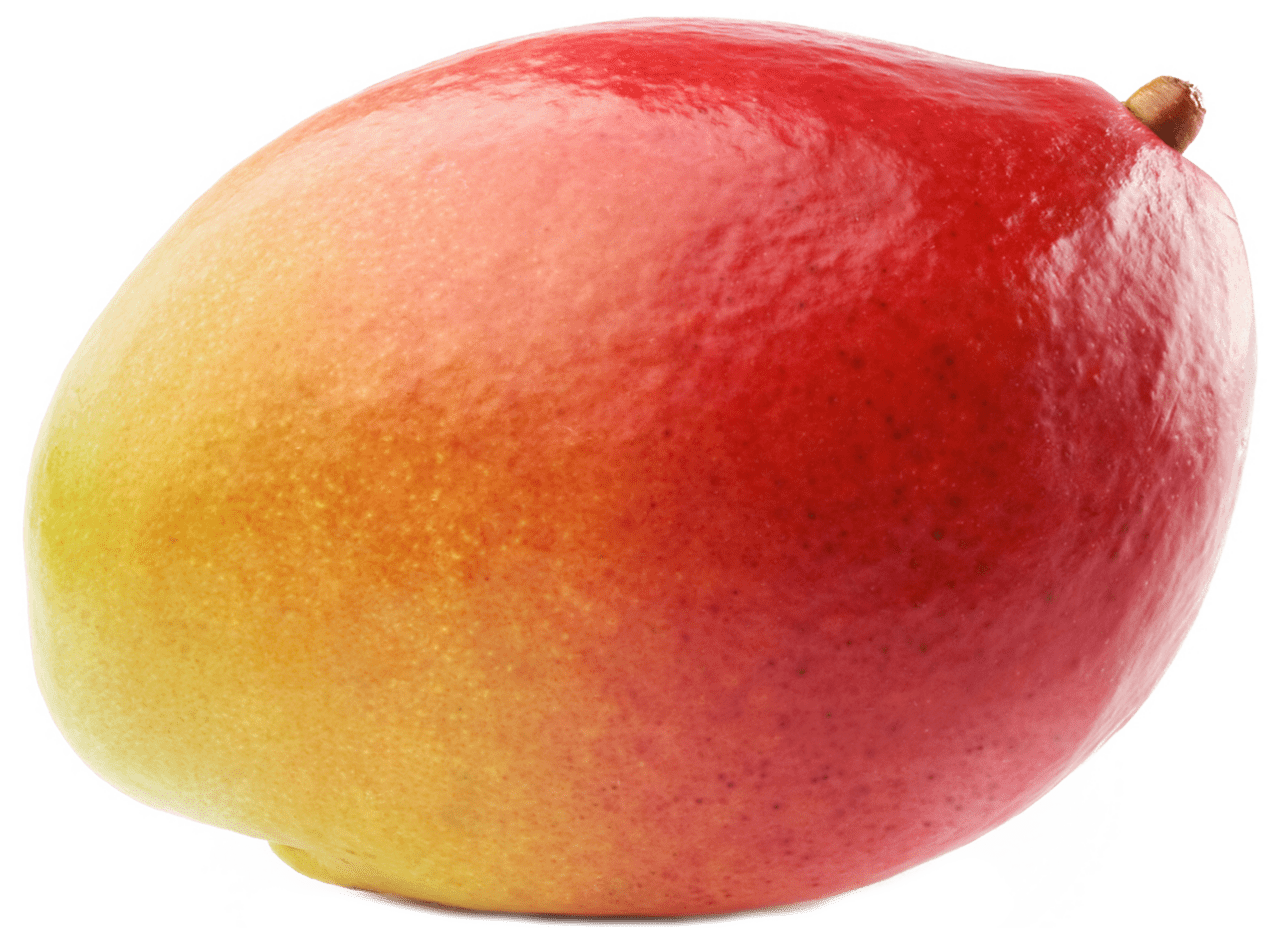 Large mango clipart photo