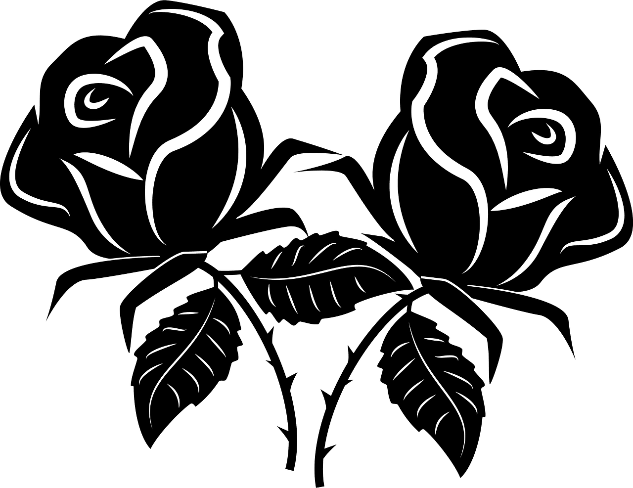 Rose black and white roses vector clipart images