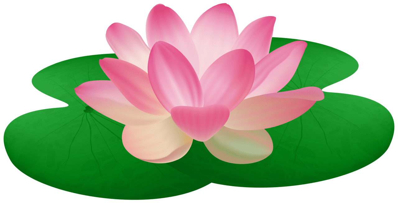 Lily pad images vector clipart