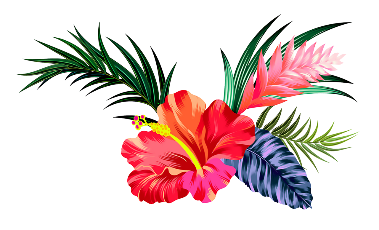 Hibiscus flower pin page clipart picture 2