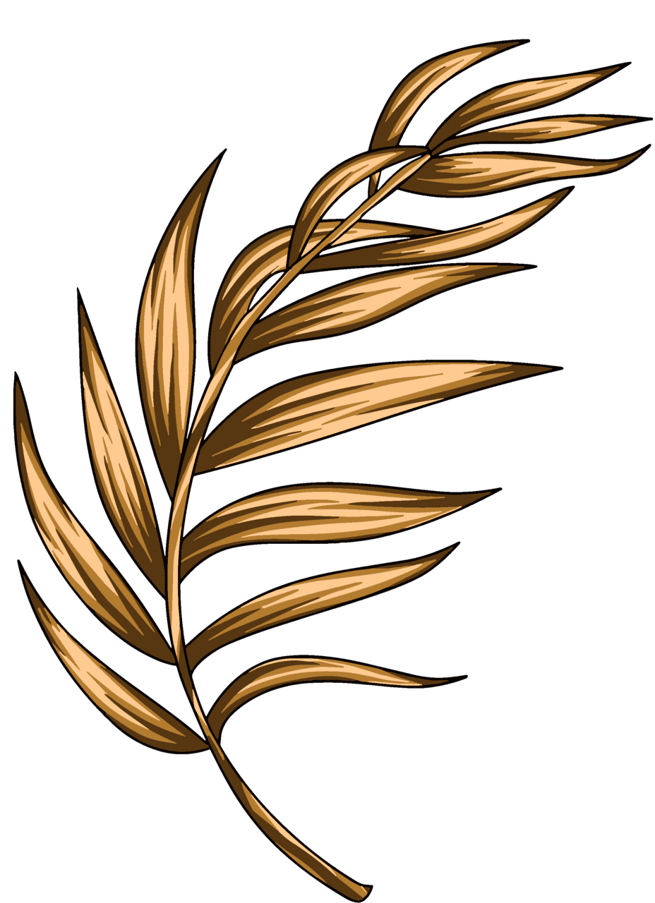 Wheat page clipart transparent