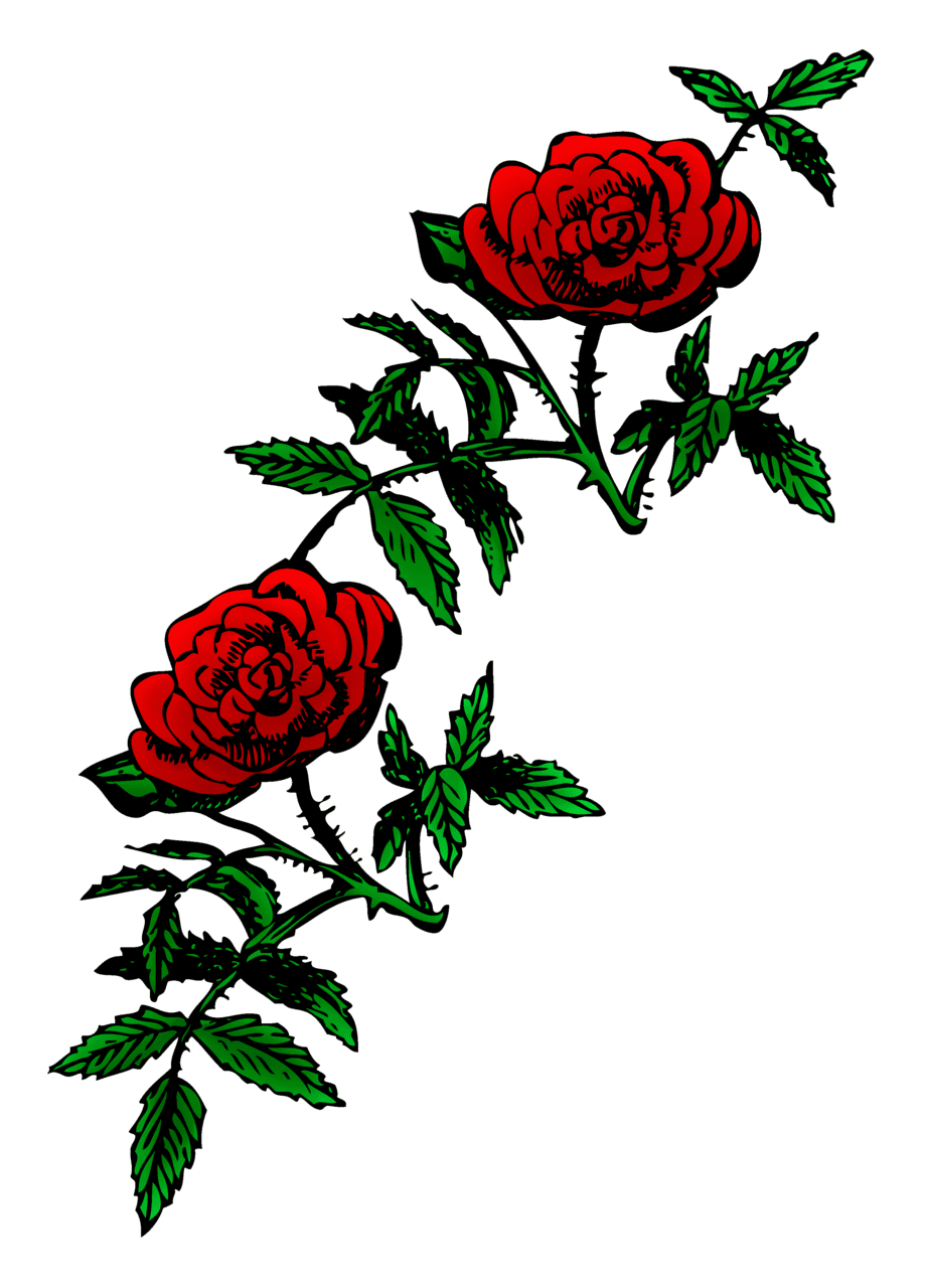 Vines roses rose decoration clipart image