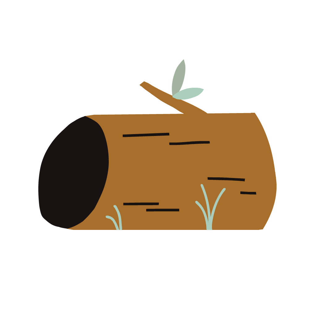 Log shy foxy clipart logo