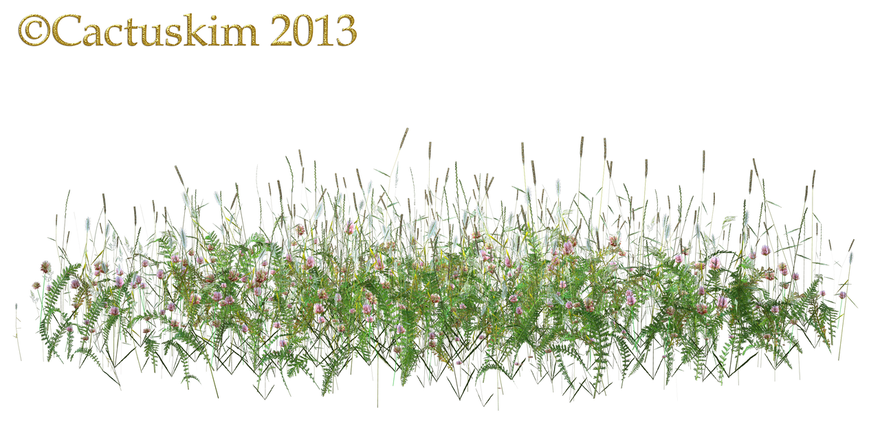 Wildflower wild flowers and grass weeds kl by cactuskim deviant clipart vector